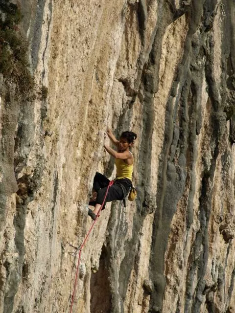 Escalade sur colonnettes