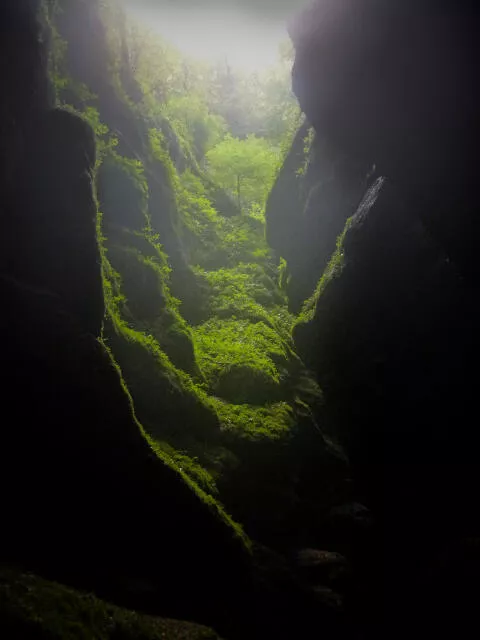 Pour la beauté des couleurs