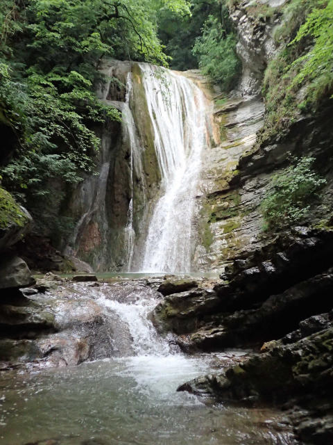 Un canyon forestier