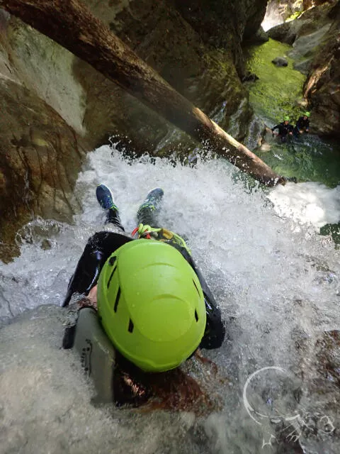 LE toboggan vu de haut