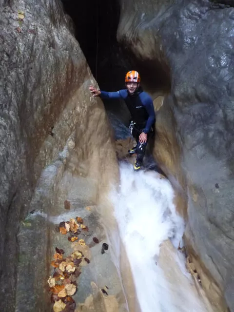 Des couleurs chatoyantes